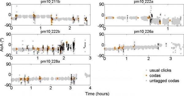 像電影《降臨》那樣，科學家正在打造跨物種語言的“羅塞塔石碑”