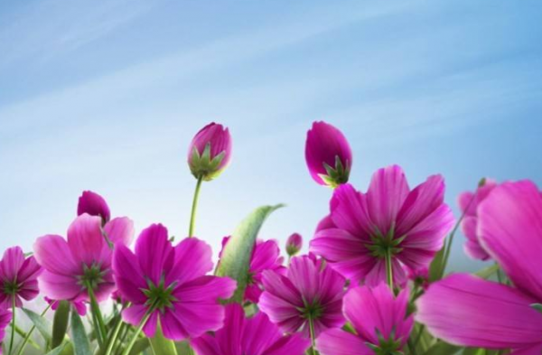 一週後，4個星座，與人為善，友好助人，前有貴人，後有依靠