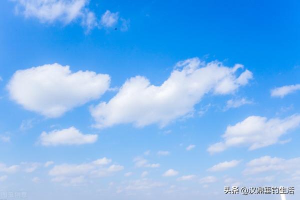 成為打工人的第365天，我連夜逃走去釣魚