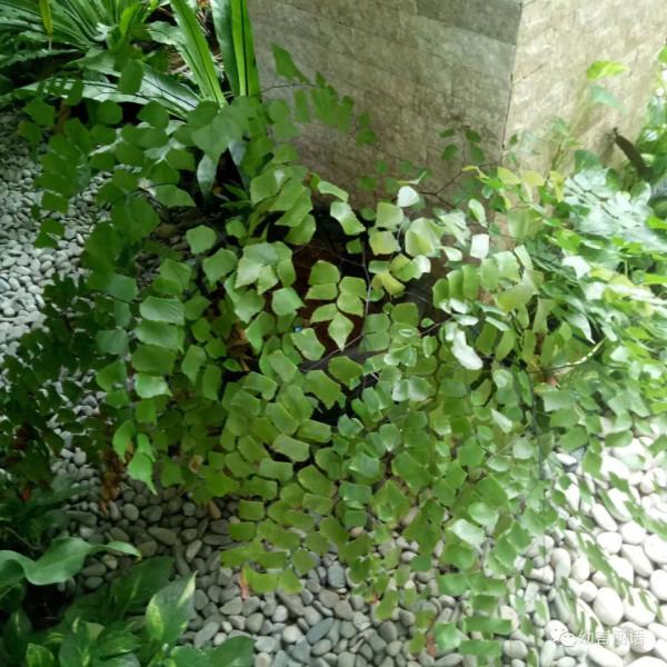 巴厘島旅遊之聽導遊講巴厘島 巴厘島旅遊之聽導遊講巴厘島