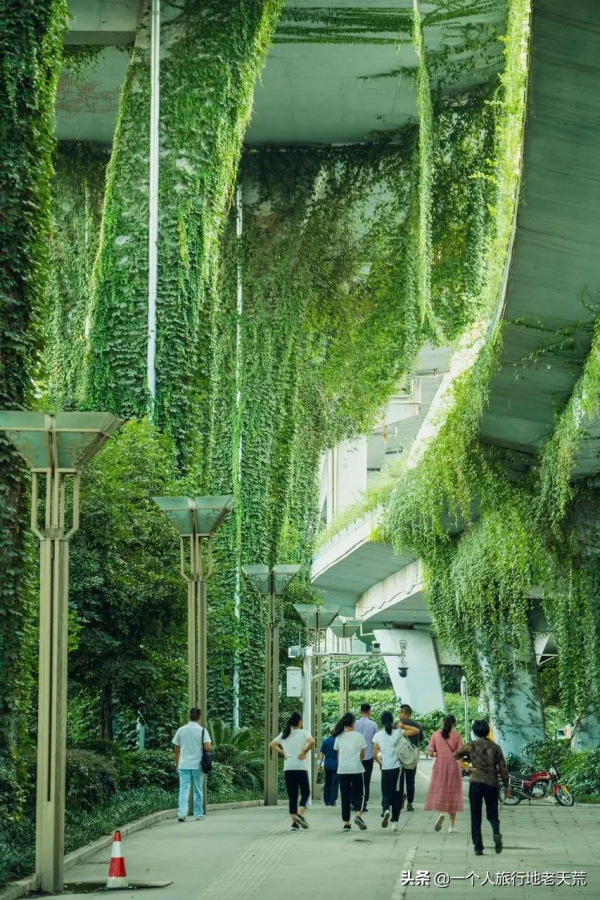 苦等5年終通高鐵！這座比成都還巴適的酒城，為了吃也要去一趟