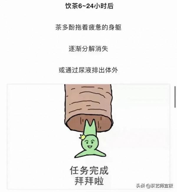 「茶在身體裡面幹了啥,分享一組生動有趣的漫畫」茶修學堂 「茶在身體裡面幹了啥,分享一組生動有趣的漫畫」茶修學堂