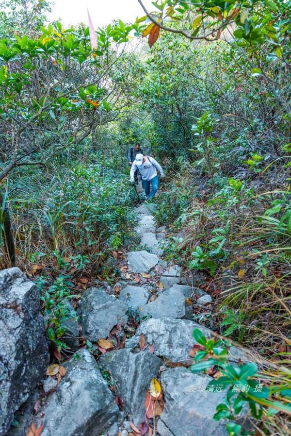 飽攬壯美山原景觀，廣東蕉窩頂徒步環線值得擁有