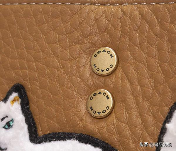 Coach Rogue手袋迴歸：城市漫遊指南，從一隻合適的包包開始