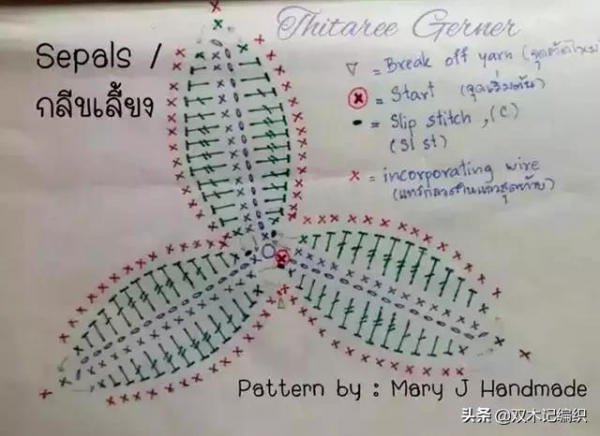 蝴蝶蘭鉤編，美豔動人，居家擺設就選它