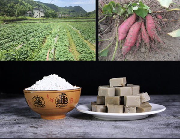 超好買!2021浙江農博會轉戰線上,這些地方金牌美味賣爆了 超好買!2021浙江農博會轉戰線上,這些地方金牌美味賣爆了