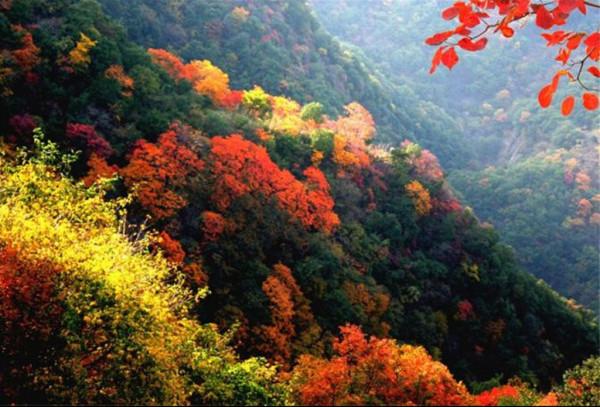 這個週末天氣晴好，到河南這最值得去的4大山水景區駕車浪去