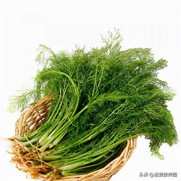 時常犯胃病？醫生勸你多吃點這種菜