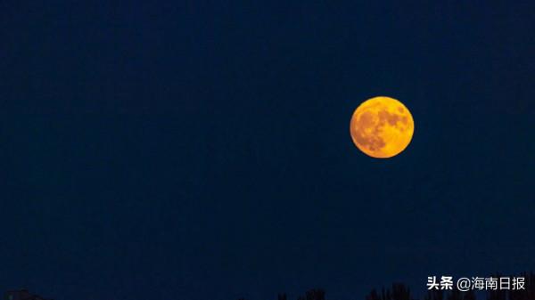 今年中秋“十五的月亮十五圓”，你跟誰一起賞月？