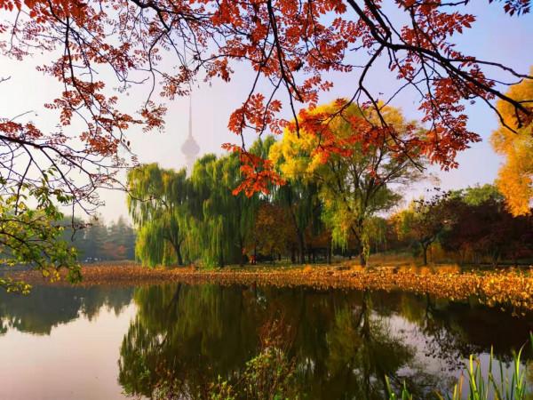 北京玉淵潭公園：如詩如畫的秋日美景