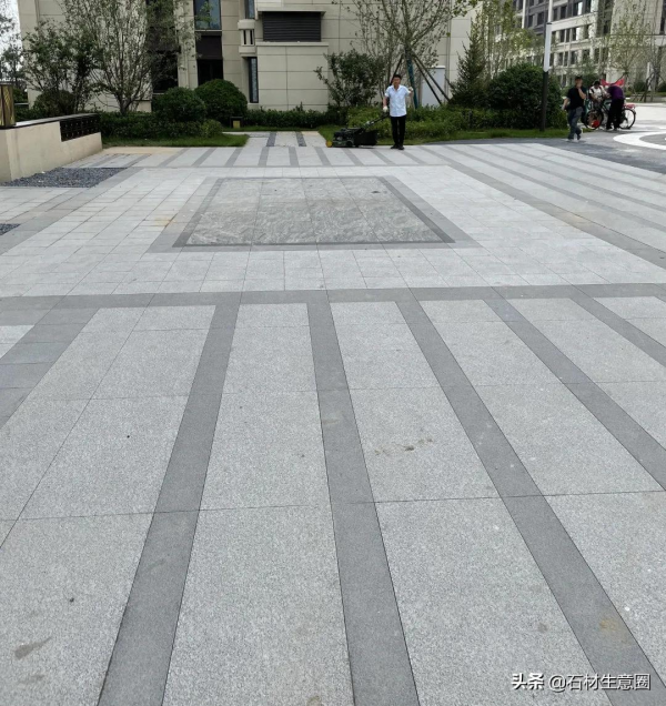 生態地鋪石欣賞