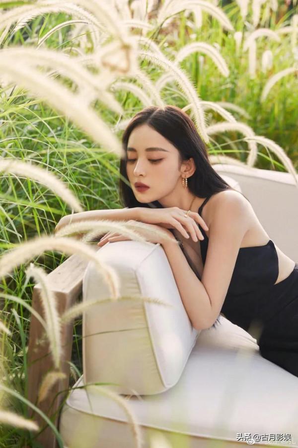 黑長直女星高圓圓、劉亦菲、楊冪、娜扎，誰是你真正的女神？
