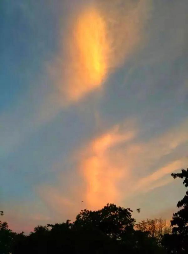 斯里蘭卡--回味無窮的青橄欖