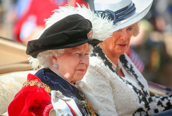 戴安娜下狠手：離婚掏空查爾斯家底，還用計謀讓卡米拉當不成王后