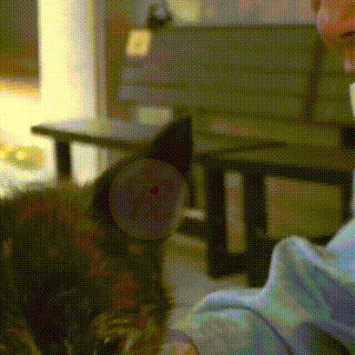 主人因病住院,狗狗每天期待主人回家,一年後的團聚卻是離別 主人因病住院,狗狗每天期待主人回家,一年後的團聚卻是離別