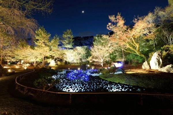 冬天的京都，去這些地方玩會更有趣