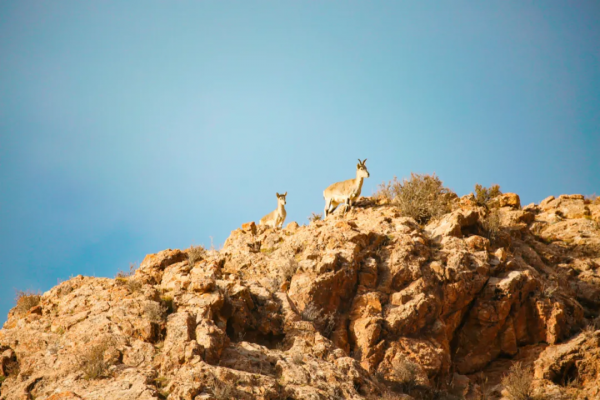 青海的這個地方要火了,秋天一定要去一次,中國最後的一片淨土 青海的這個地方要火了,秋天一定要去一次,中國最後的一片淨土
