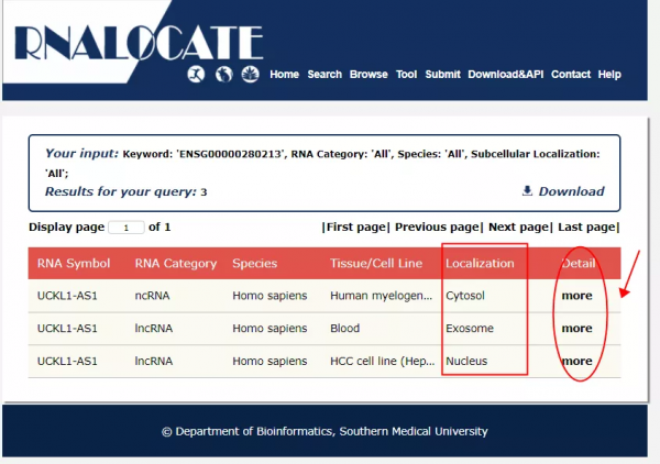 如何預測lncRNA亞細胞定位？3個預測工具“一鍵式”幫您輕鬆搞定