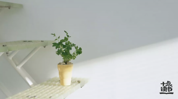 人生這幾年,熬過去就贏了 人生這幾年,熬過去就贏了