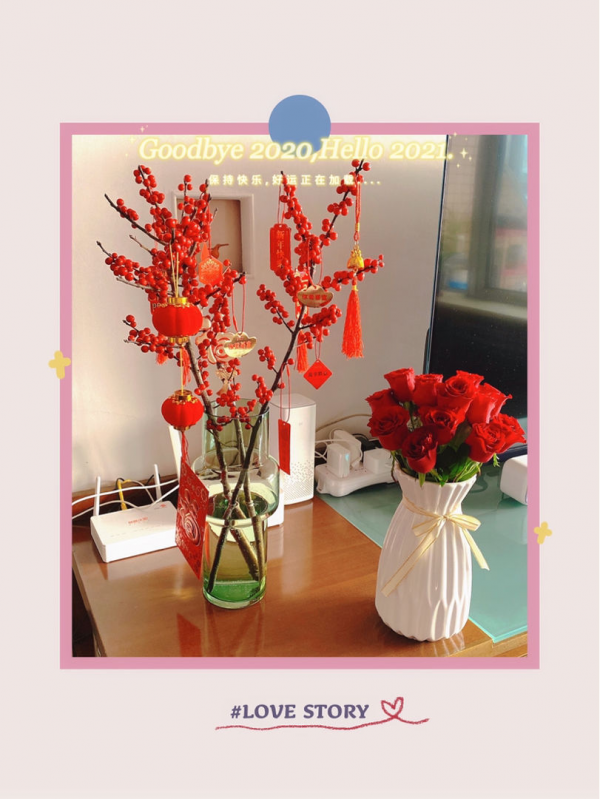 “一支冬青,紅火過年”,北美冬青為何是花中“愛馬仕” “一支冬青,紅火過年”,北美冬青為何是花中“愛馬仕”