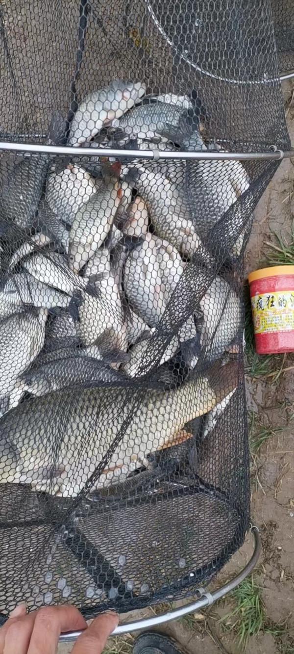 垂釣之旅——日行千里，只為漁你相見