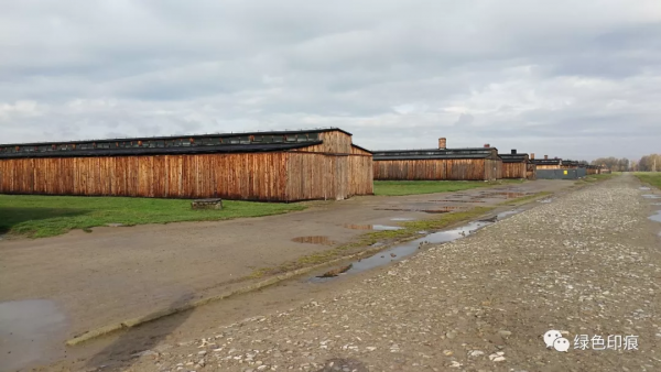 奧斯維辛集中營——《蜻蜓點水遊東歐》