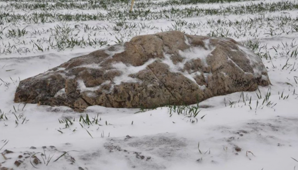 高僅0.6米的“山”，是文物保護單位，還是旅遊開發的“噱頭”？