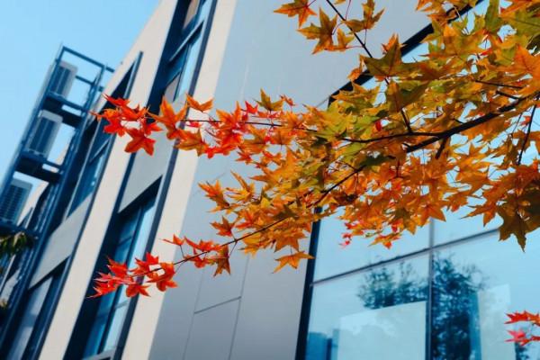 美成一個童話，只想在科學城的秋中多呆一會！