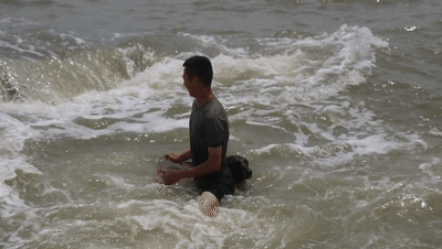 軍犬5000米高空跳傘，一臉淡定，網友：這是哮天犬吧