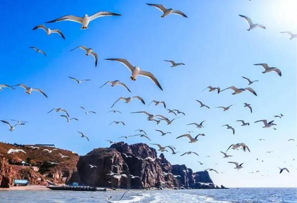 海驢島旅遊避暑聖地