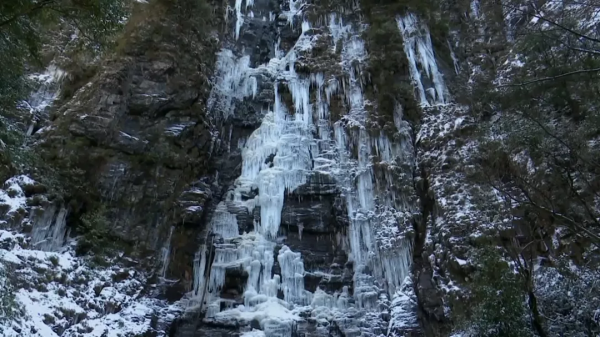 春雪紛飛染冬色 黔地皚皚似北國