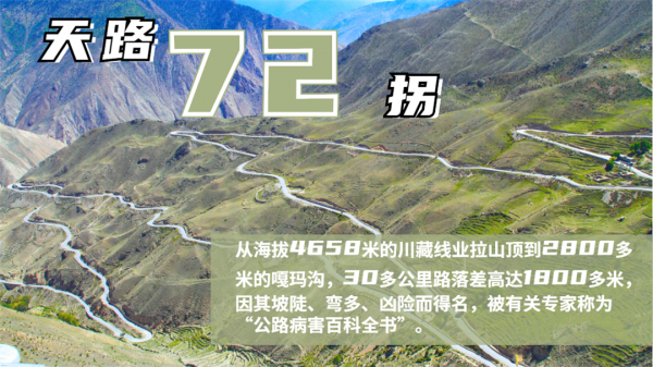 海報│一組資料解密天路“守護者”制勝基因