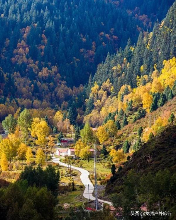 我們如此熱愛內蒙古