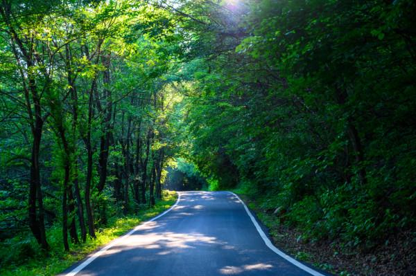 遼寧撫順旅遊必打卡景點,被譽為“北方溫帶雨林”,夏日避暑佳地 遼寧撫順旅遊必打卡景點,被譽為“北方溫帶雨林”,夏日避暑佳地