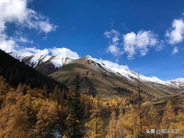 四川.雅克夏雪山 四川.雅克夏雪山