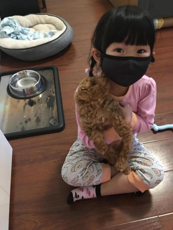 養狗(散文) 養狗(散文)