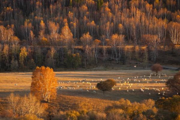 8條適合秋天的短途自駕路線，10-11月出發正當時，您去過幾條？