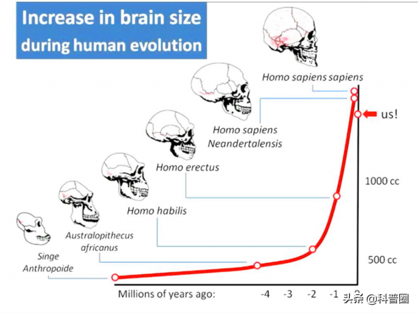 為什麼動物分娩後代那麼輕鬆，人類生孩子卻疼得撕心裂肺？