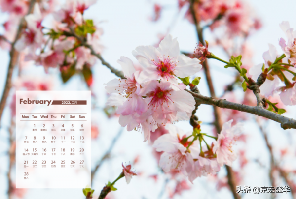 你好，2022！賞花日曆快收藏