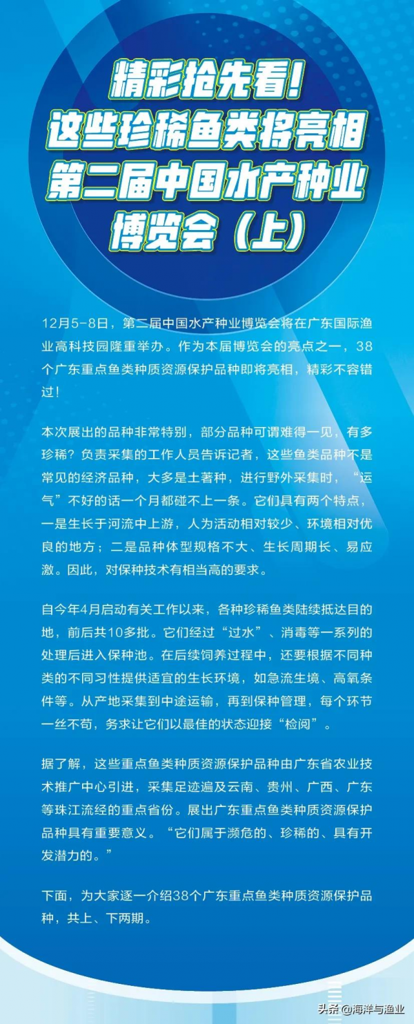 精彩搶先看！這些珍稀魚類將亮相第二屆中國水產種業博覽會（上）