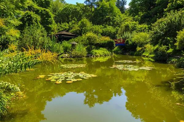 今日干貨 | 肥水塘的釣魚技巧