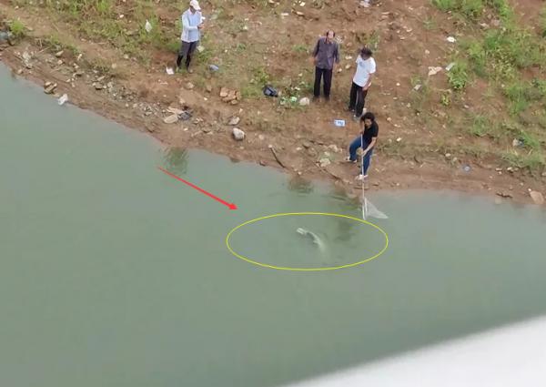 安徽一男子釣獲“水老虎”，嫌太小想放掉，遭老大爺一頓臭罵