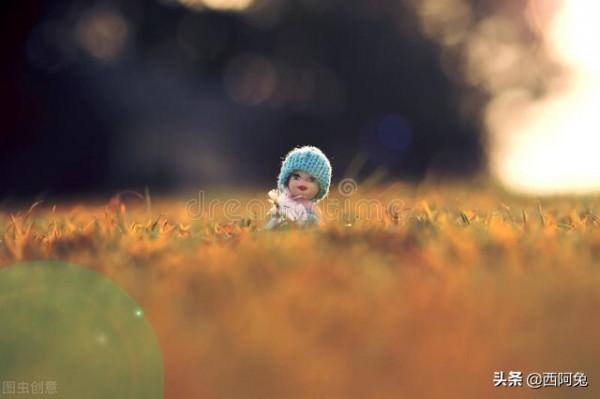雙魚座的荒誕 雙魚座的荒誕