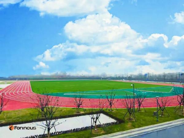 科技新星！當奈米技術遇上體育，運動空間效能再升級