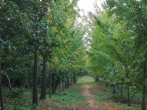 摩托周邊旮旯遊——尋朱元璋出家之於皇寺 摩托周邊旮旯遊——尋朱元璋出家之於皇寺