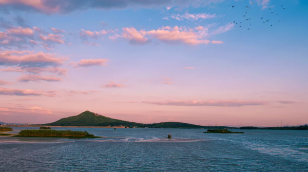 3萬株銀杏林把秋意渲染至極，第一眼就心動了