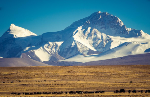 福祉車福祉座椅福祉輪椅自動升降旋轉座椅福祉座椅改裝