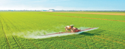 抓好小麥冬季管理