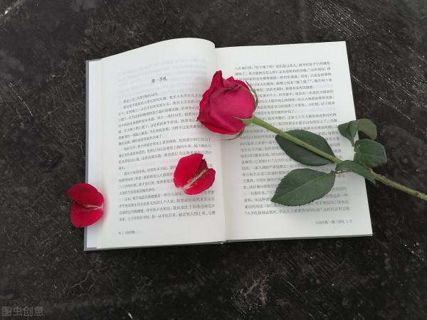 來自《人間失格》的告白 來自《人間失格》的告白