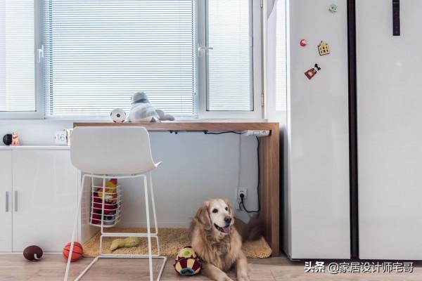 38歲小姐姐的獨居生活：住40㎡小窩，與狗為伴，生活愜意又舒服